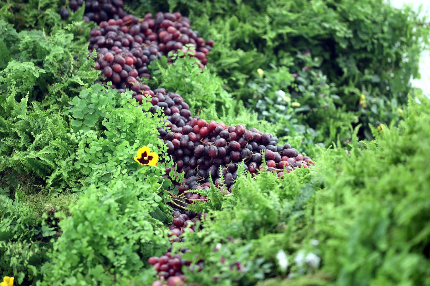 El incomparable espectáculo sensorial del Festival Flora de Córdoba, en imágenes