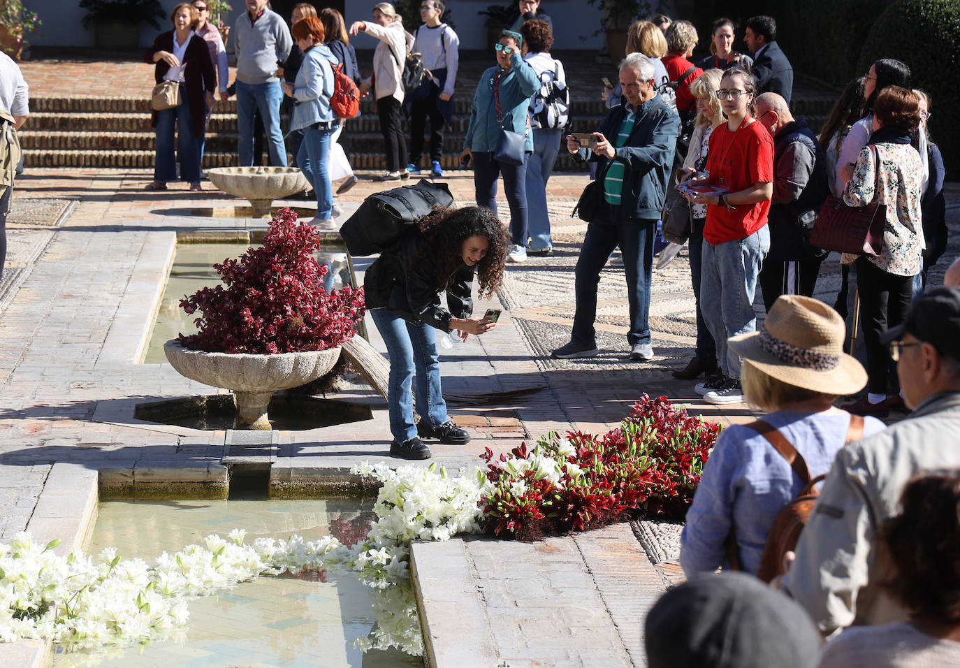 El incomparable espectáculo sensorial del Festival Flora de Córdoba, en imágenes