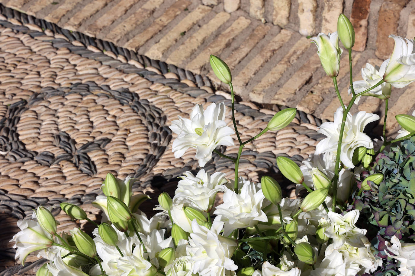 El incomparable espectáculo sensorial del Festival Flora de Córdoba, en imágenes