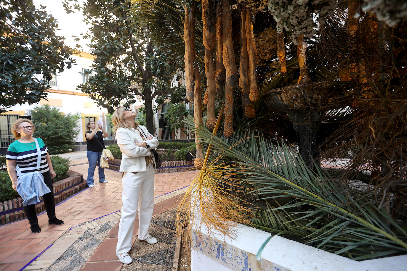El incomparable espectáculo sensorial del Festival Flora de Córdoba, en imágenes