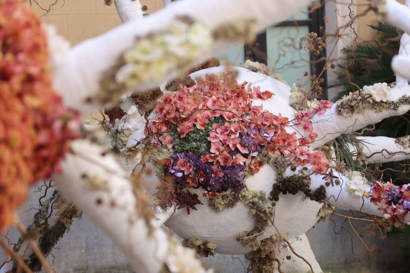 El incomparable espectáculo sensorial del Festival Flora de Córdoba, en imágenes
