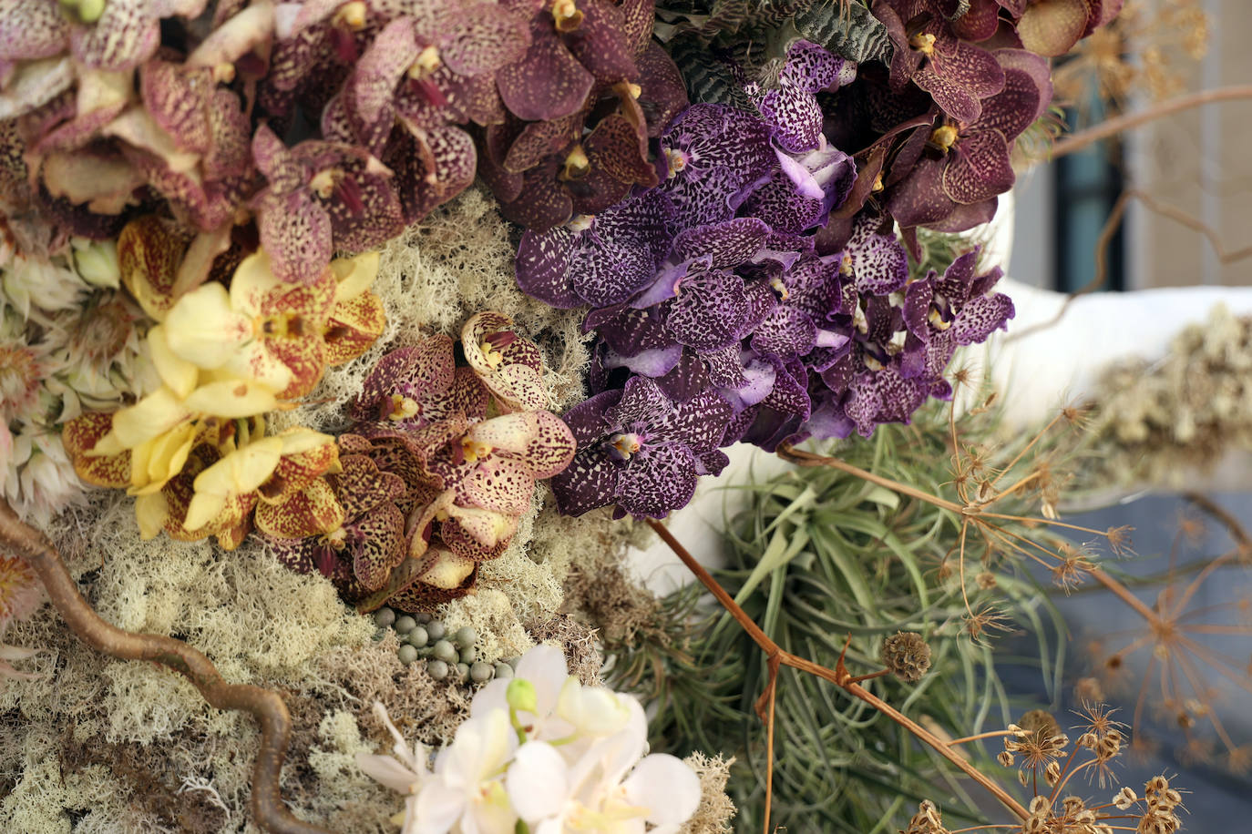 El incomparable espectáculo sensorial del Festival Flora de Córdoba, en imágenes