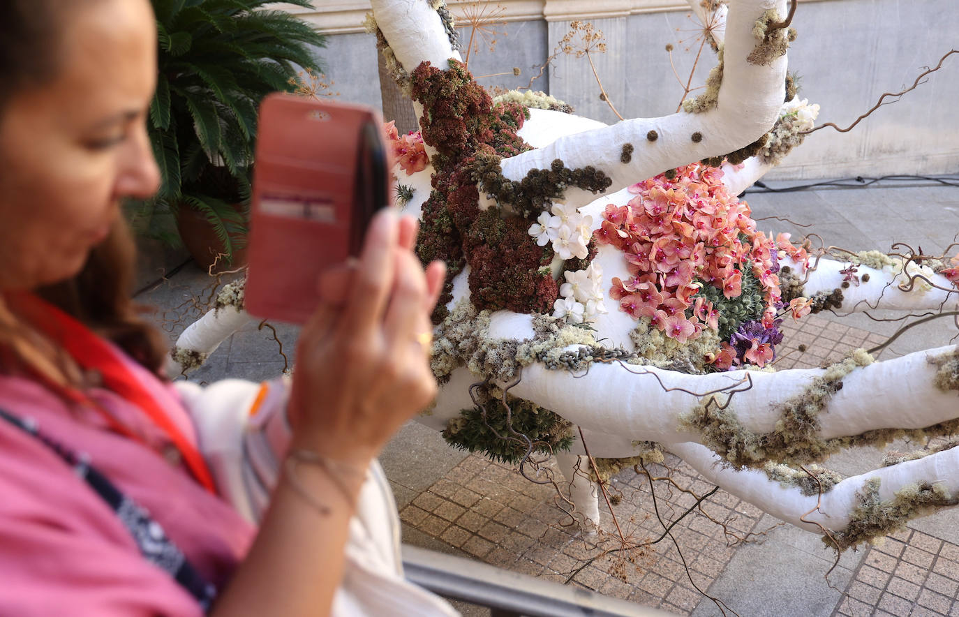 El incomparable espectáculo sensorial del Festival Flora de Córdoba, en imágenes