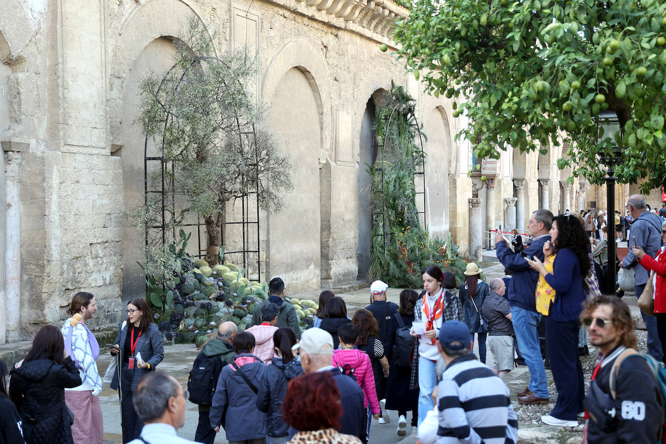El incomparable espectáculo sensorial del Festival Flora de Córdoba, en imágenes
