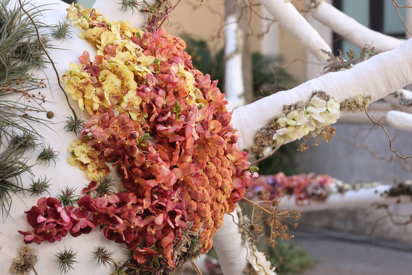 El incomparable espectáculo sensorial del Festival Flora de Córdoba, en imágenes