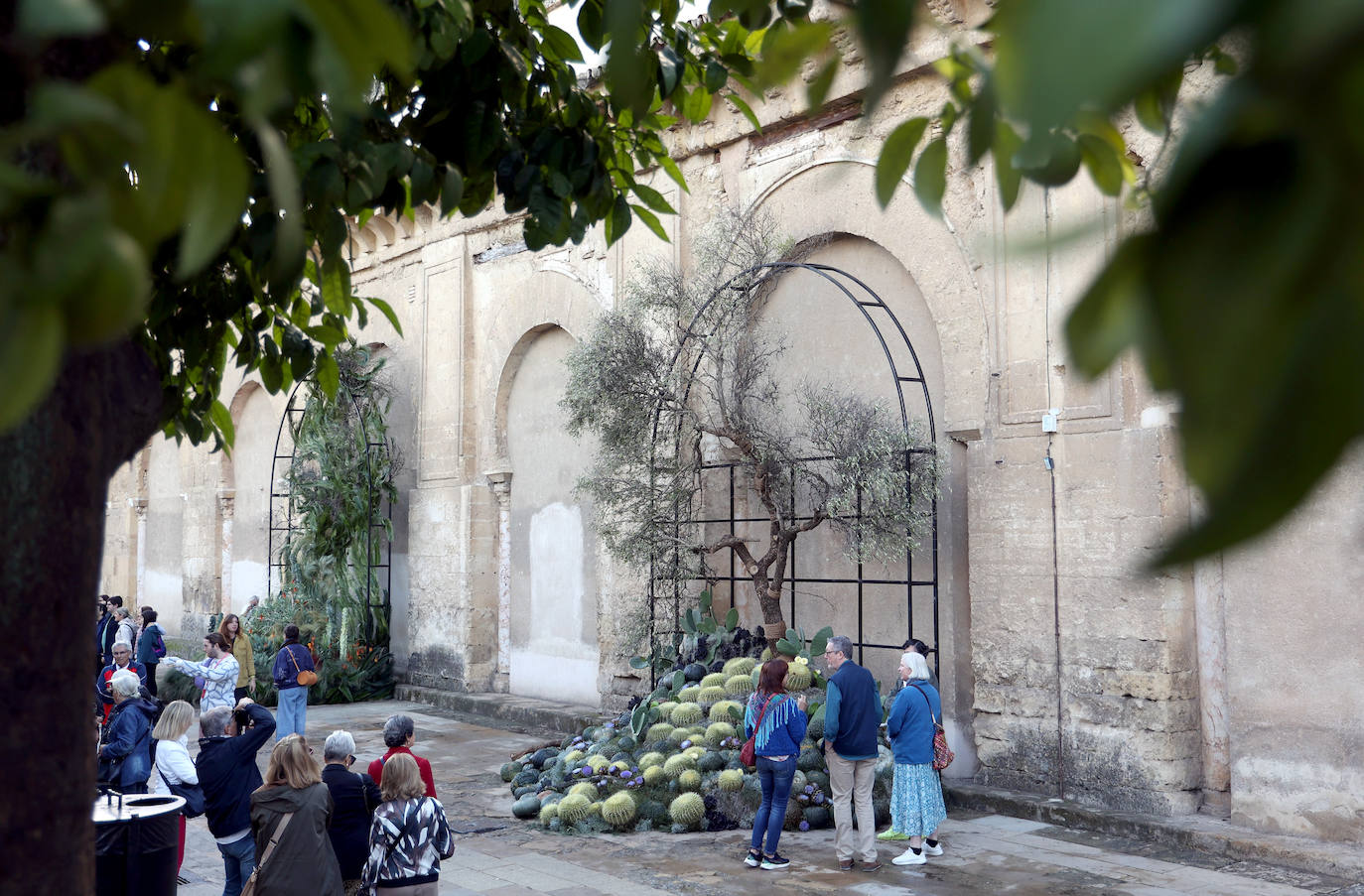 El incomparable espectáculo sensorial del Festival Flora de Córdoba, en imágenes