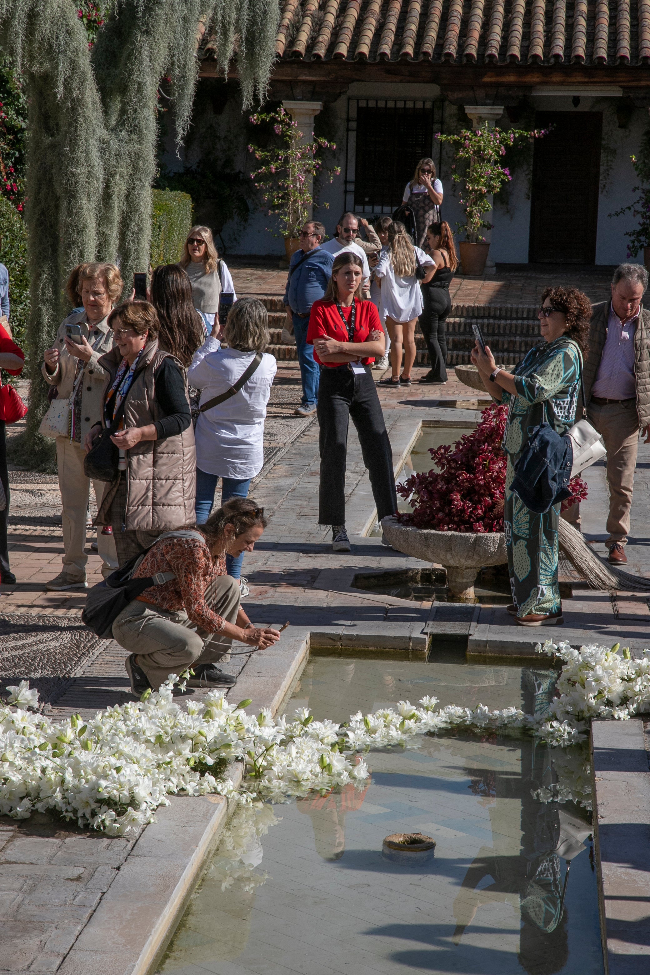 El ambiente en las instalaciones del Festival de Flora de Córdoba, en imágenes