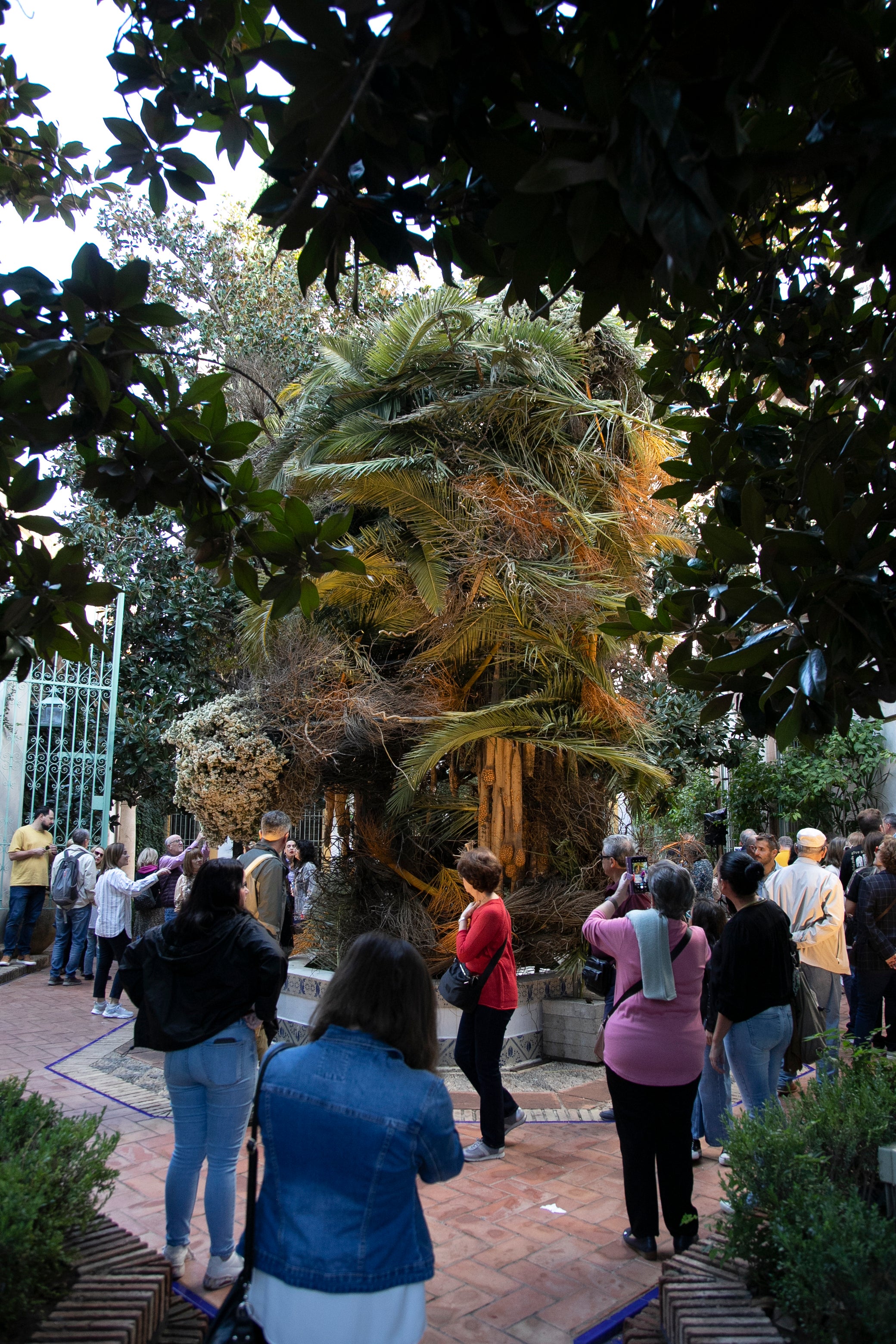 El ambiente en las instalaciones del Festival de Flora de Córdoba, en imágenes