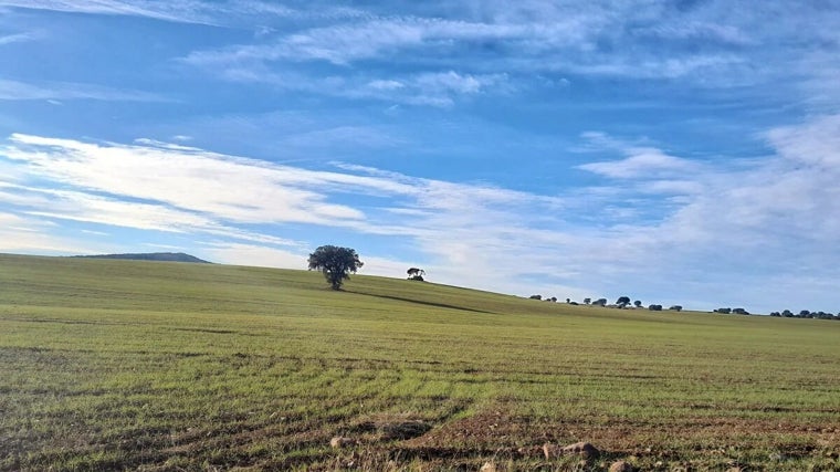 Paisaje de la comarca del Campo de Montiel, en la provincia de Ciudad Real
