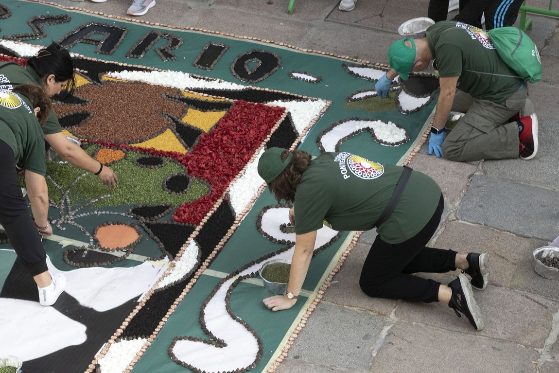 La majestuosa alfombra de flores dedicada a Julio Romero de Torres en Flora, en imágenes