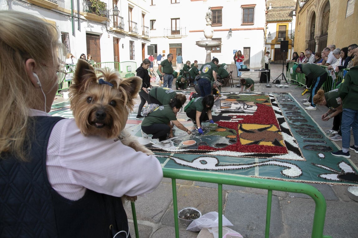 La majestuosa alfombra de flores dedicada a Julio Romero de Torres en Flora, en imágenes
