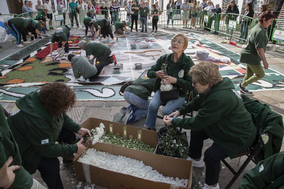 La majestuosa alfombra de flores dedicada a Julio Romero de Torres en Flora, en imágenes
