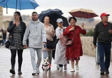 El modus operandi de los que hurtan carteras: nunca solos, camuflados y en zonas con bullicio