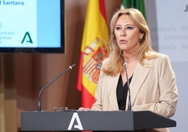 Andalucía alza la voz contra el impuesto a las energéticas: «Haremos lo posible por pararlo»