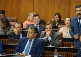El PP-A descarta que la Intervención acuda al Parlamento andaluz por los contratos menores y de emergencia del SAS