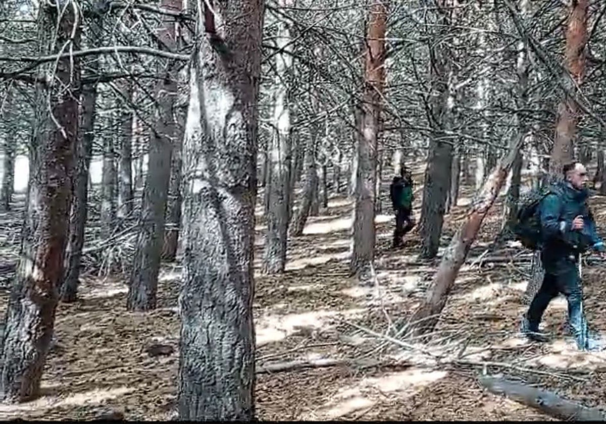Agentes del Grupo de Rescate de la Guardia Civil, durante las labores de búsqueda