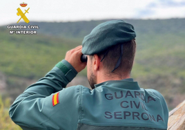 Un hombre mata a tiros a tres cerdos y abandona sus cuerpos en una cueva en La Gomera