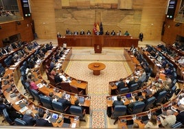 La Asamblea de Madrid da luz verde a la supresión del Consejo de la Juventud, recuperado por Cifuentes en 2017