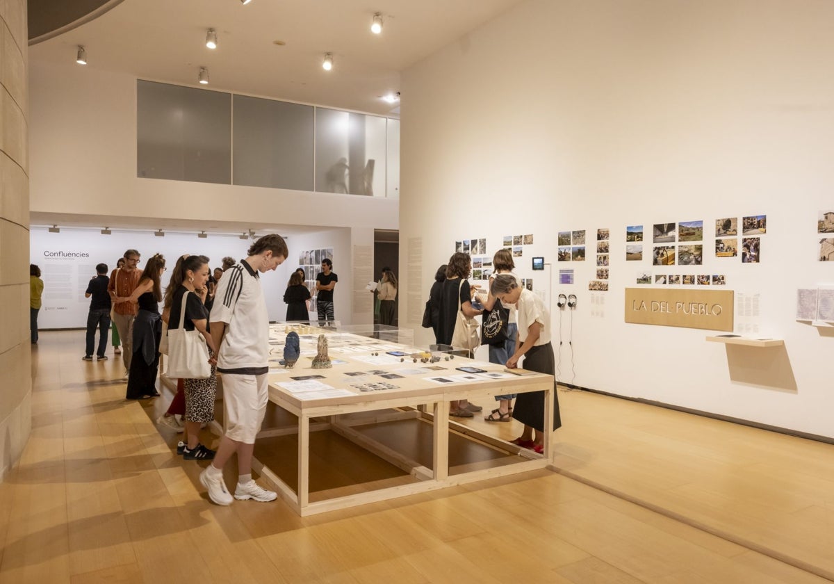 Imagen de la exposición 'Confluències' en IVAM de la antropóloga Yayo Herrero