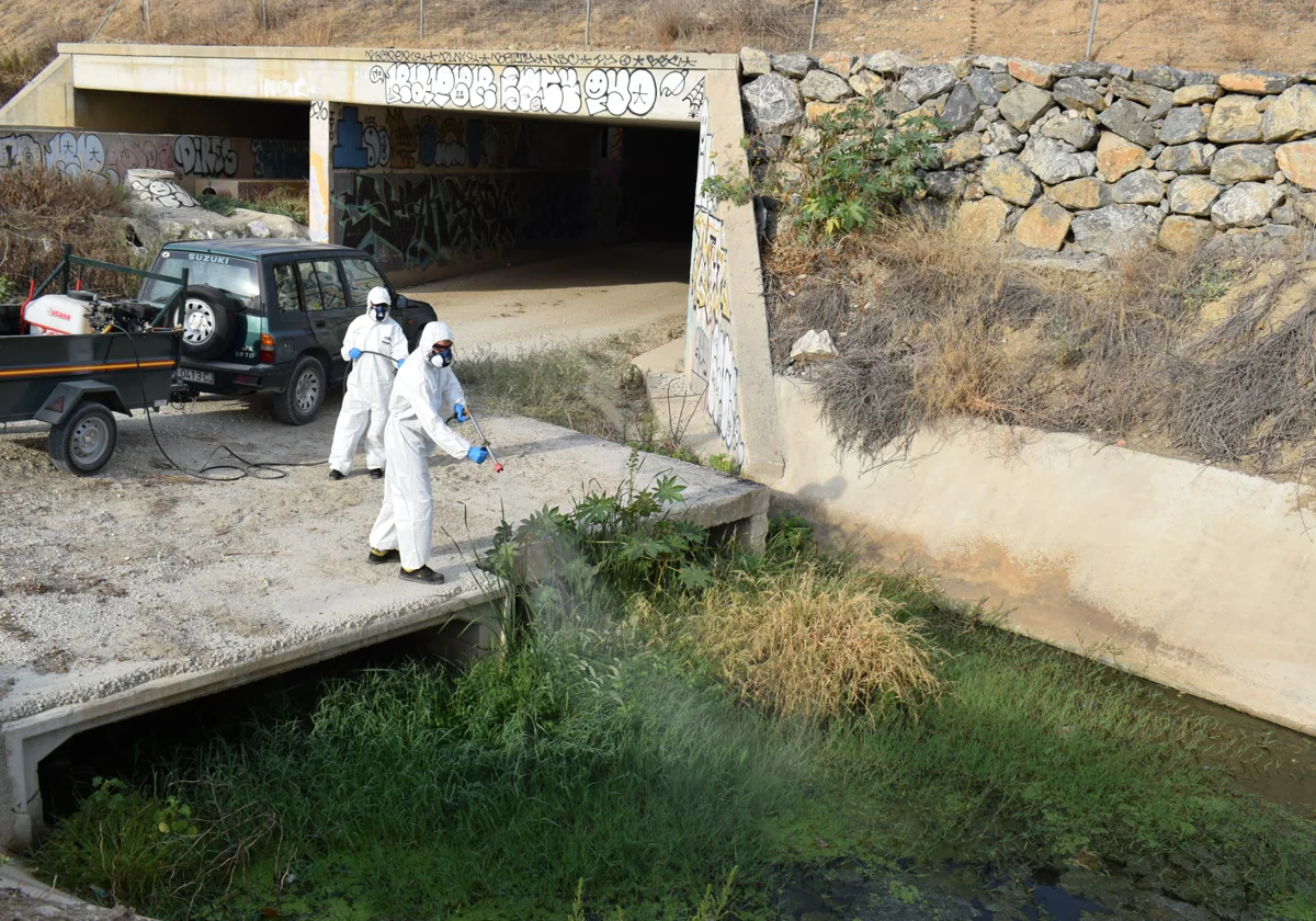 Fumigaciones en los arroyos de Alhaurín de la Torre