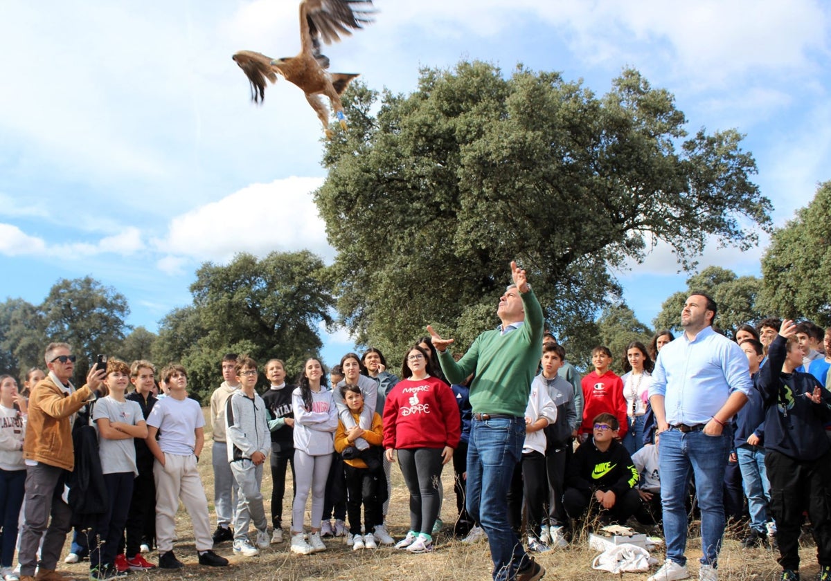 El delegado de la Junta en Toledo suelta a una de las rapaces