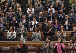 El Congreso da el primer paso para adaptar la seguridad ciudadana a las exigencias de Bildu