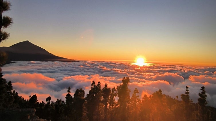 El mirador oculto de Tenerife en el que se puede ver el Teide sobre un mar de nubes: dónde está y cómo llegar