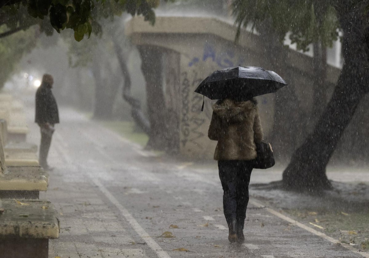 Una mujer bajo la lluvia en Málaga