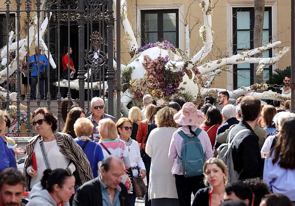 Visitantes de Flora en Vimcorsa