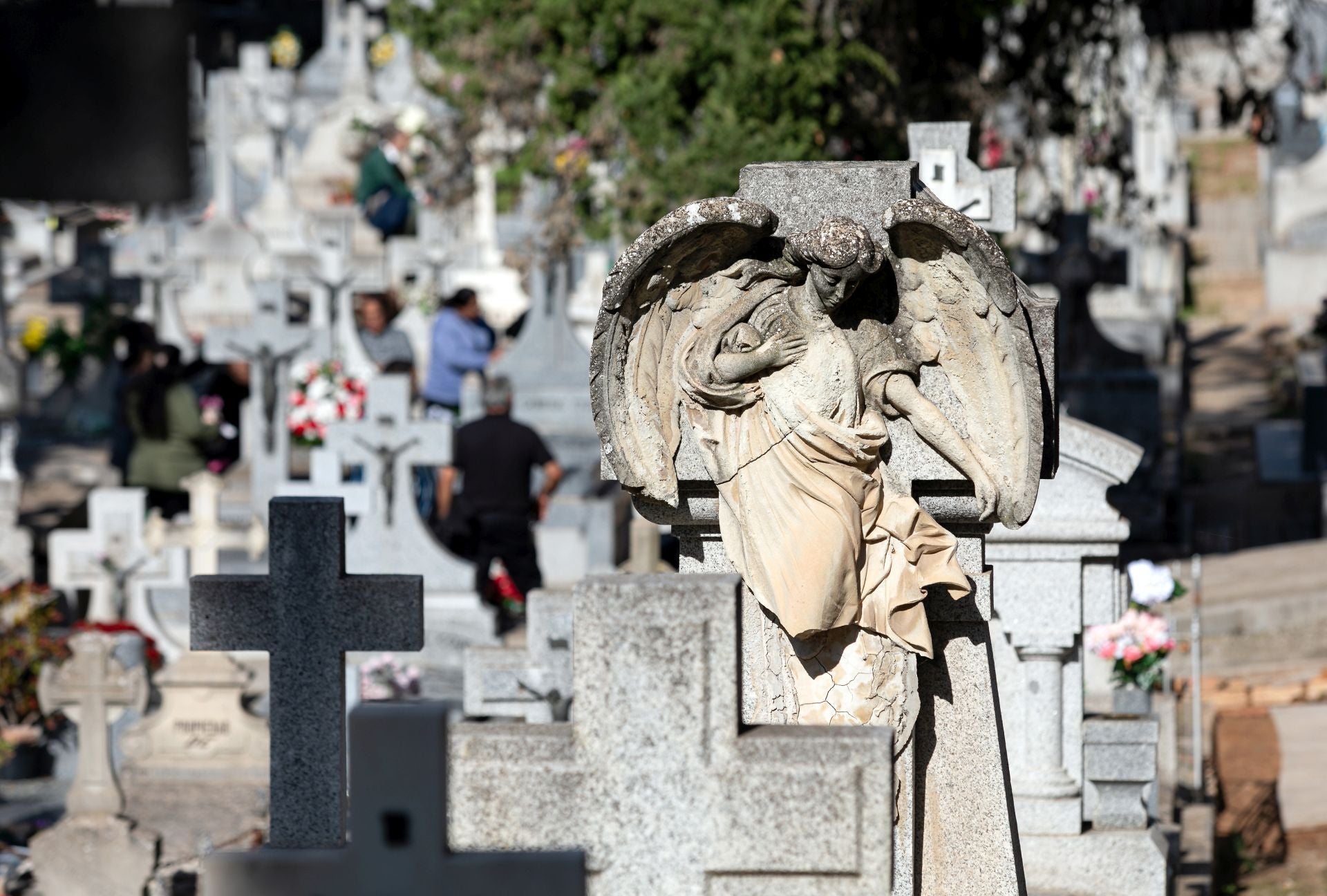 El Día de Todos los Santos en la región, en imágenes