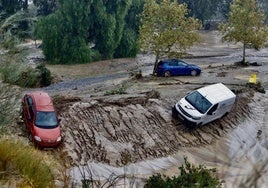 Cártama pide al Gobierno central la declaración de zona afectada por la DANA