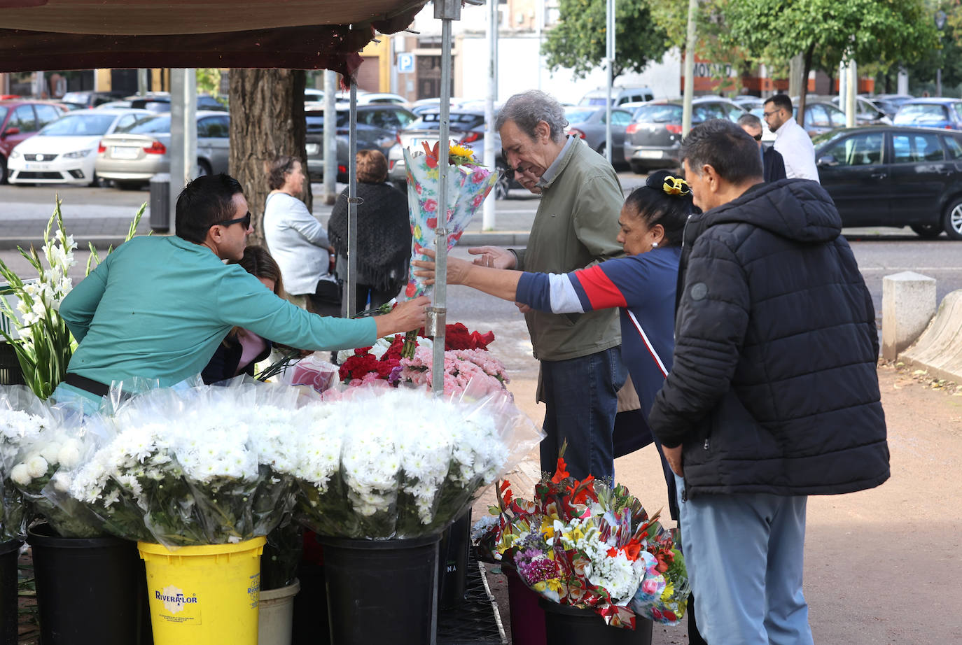 El eterno recuerdo a los difuntos en Córdoba el Día de Todos los Santos, en imágenes