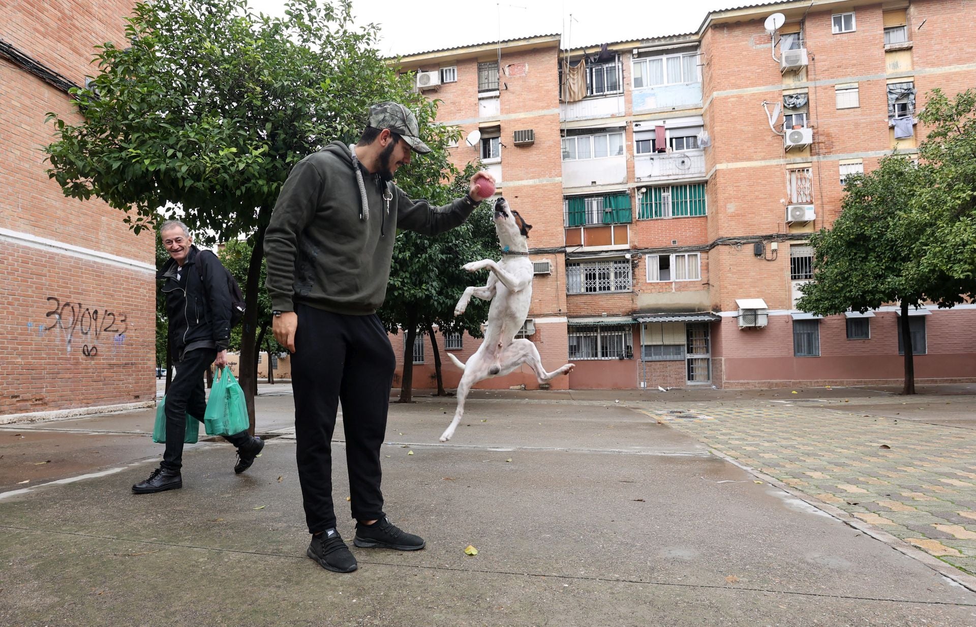 La vida en el Sector Sur y el Guadalquivir, dos de los barrios más pobres de España, en imágenes