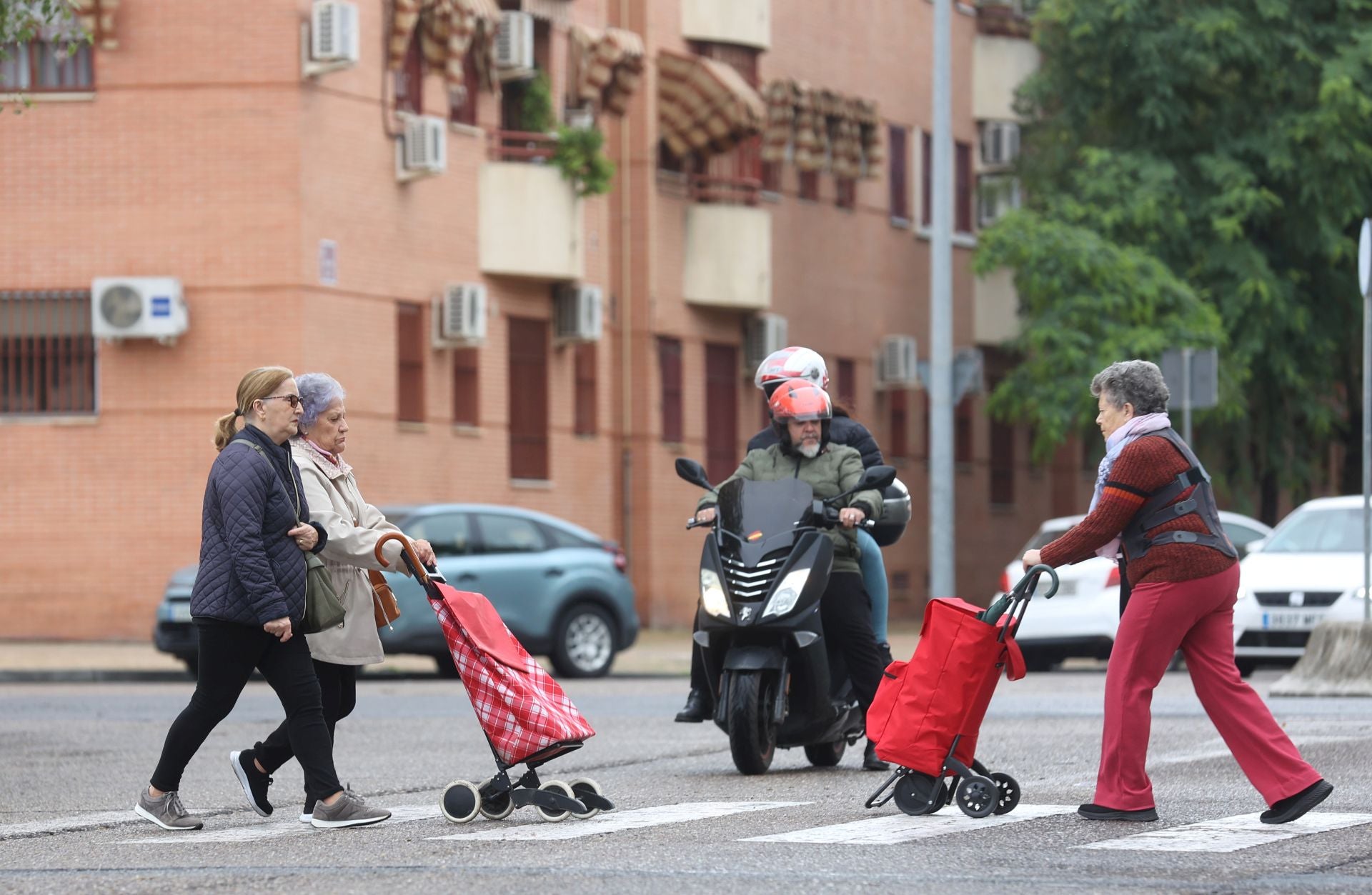 La vida en el Sector Sur y el Guadalquivir, dos de los barrios más pobres de España, en imágenes