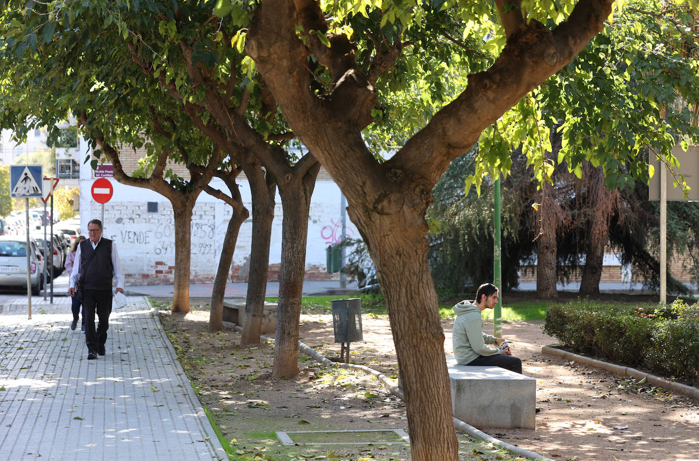 El deterioro del barrio de la Huerta de la Reina de Córdoba, en imágenes