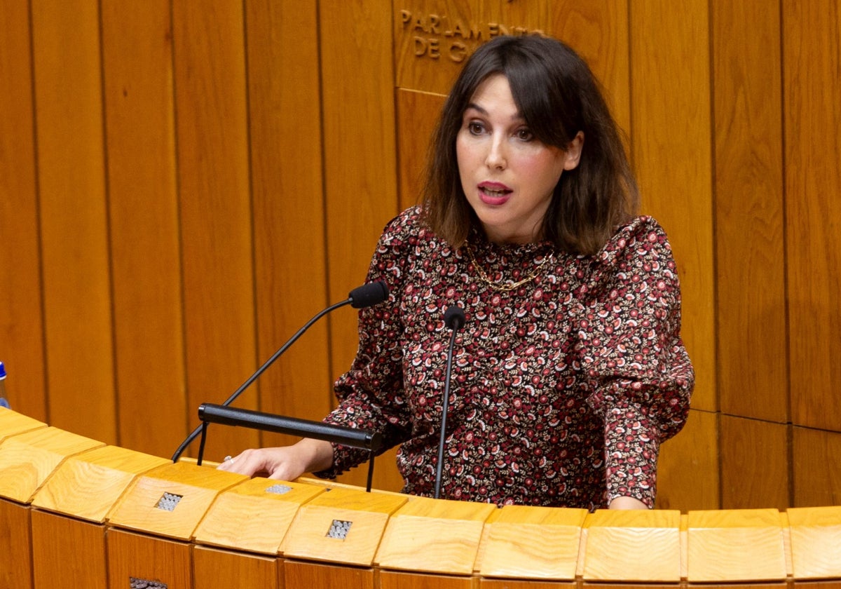 La conselleira este martes en el pleno