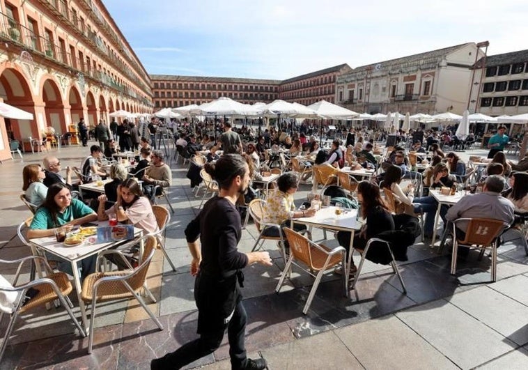 terraza-cafeteria-cordoba-k8fD-U603304129027Q7-758x531@diario_abc.jpg