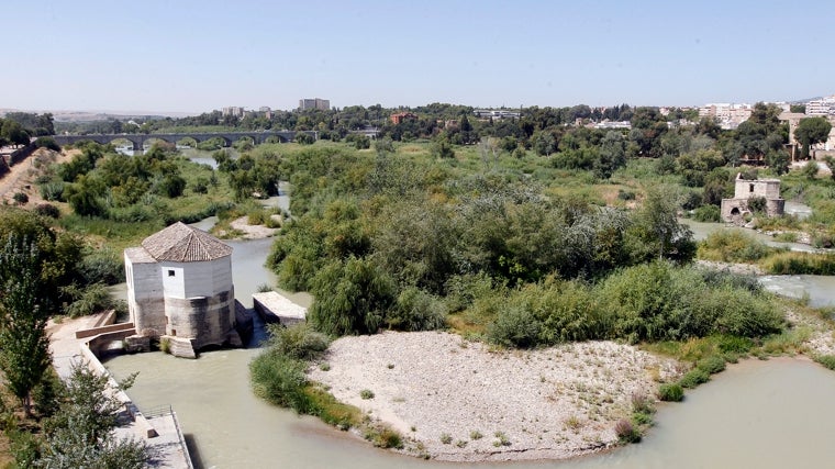 Córdoba espera desde 2013 una obra millonaria para evitar inundaciones