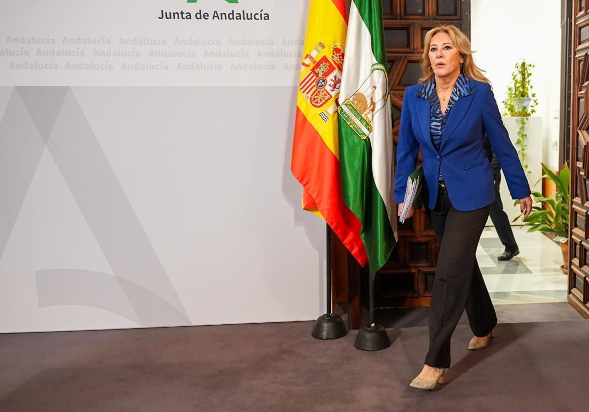 La consejera Carolina España