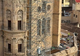 Madera de pino radiata para blindar la Catedral de Málaga del fuego y el agua