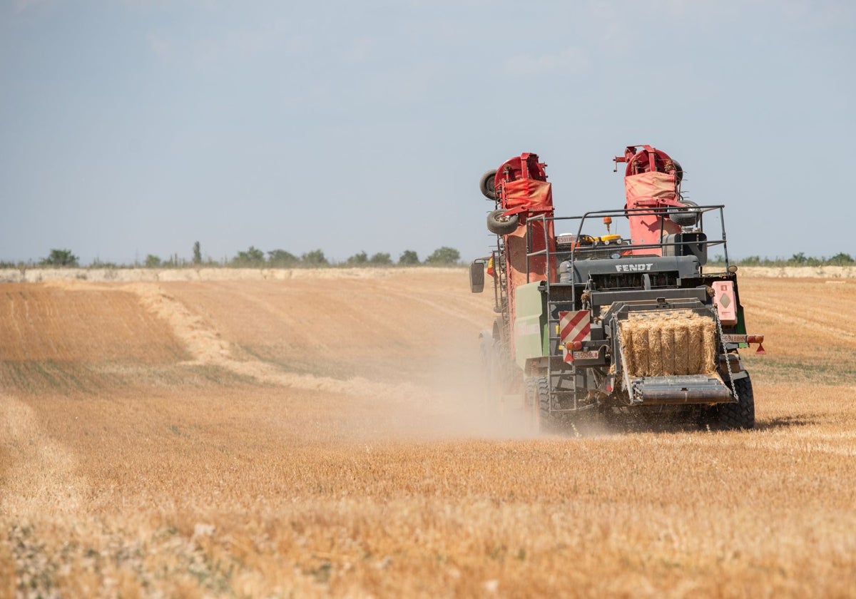 Maquinaria trabajando un campo de pasto el pasado junio