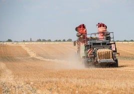 La Junta abonará este mes más de 12 millones en ayudas al campo