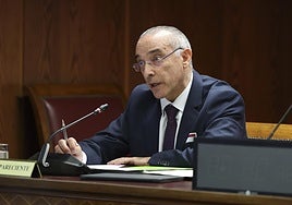 El exdirector del Aeropuerto Barajas desconocía la llegada de Delcy Rodríguez y dice que la competencia es de Interior