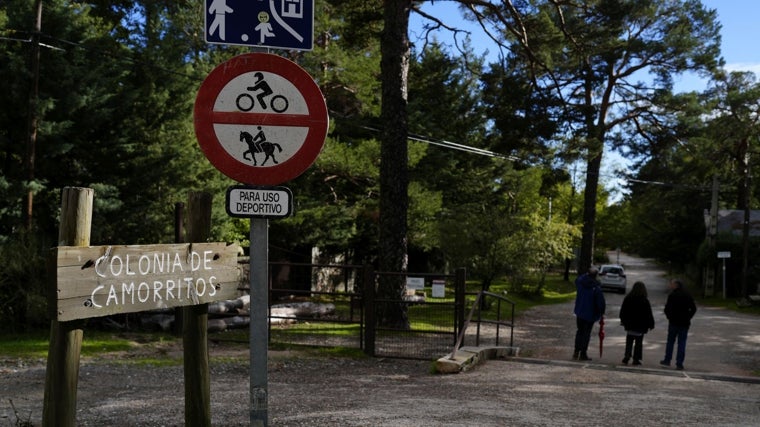 Colonia de Camorritos, en la sierra de Guadarrama