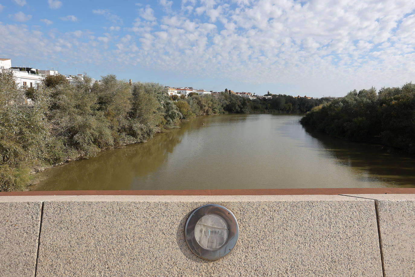 El descuido y la suciedad del Guadalquivir en Córdoba, en imágenes