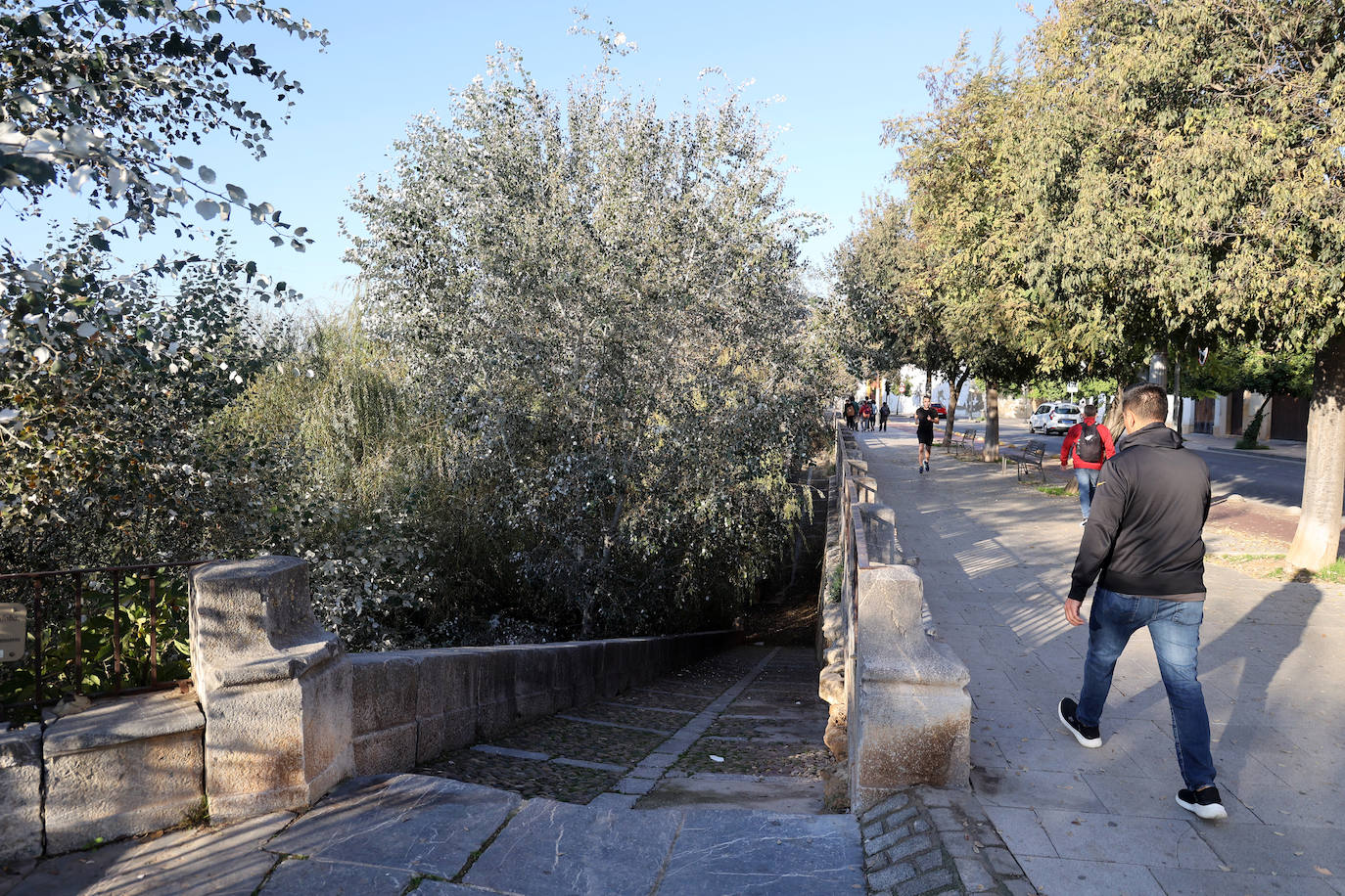 El descuido y la suciedad del Guadalquivir en Córdoba, en imágenes