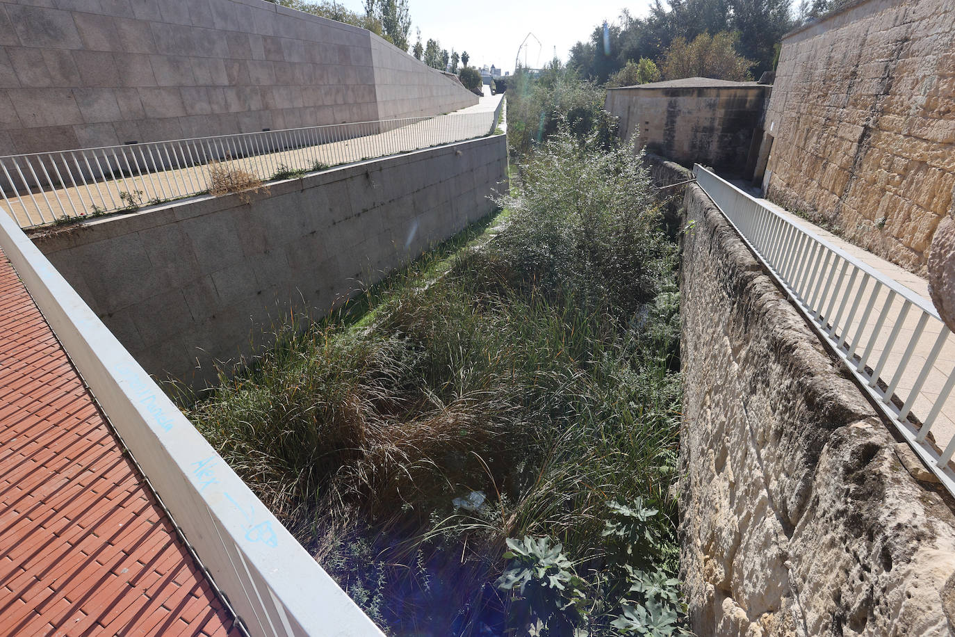 El descuido y la suciedad del Guadalquivir en Córdoba, en imágenes