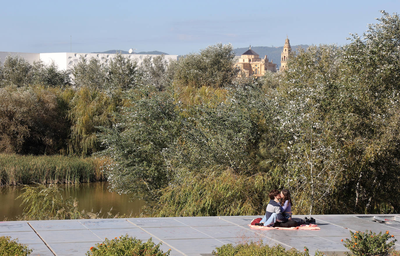 El descuido y la suciedad del Guadalquivir en Córdoba, en imágenes