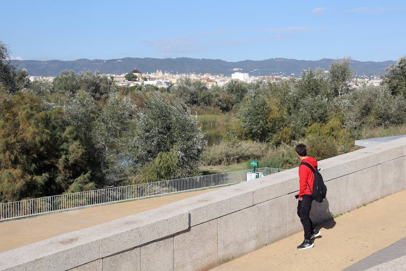 El descuido y la suciedad del Guadalquivir en Córdoba, en imágenes