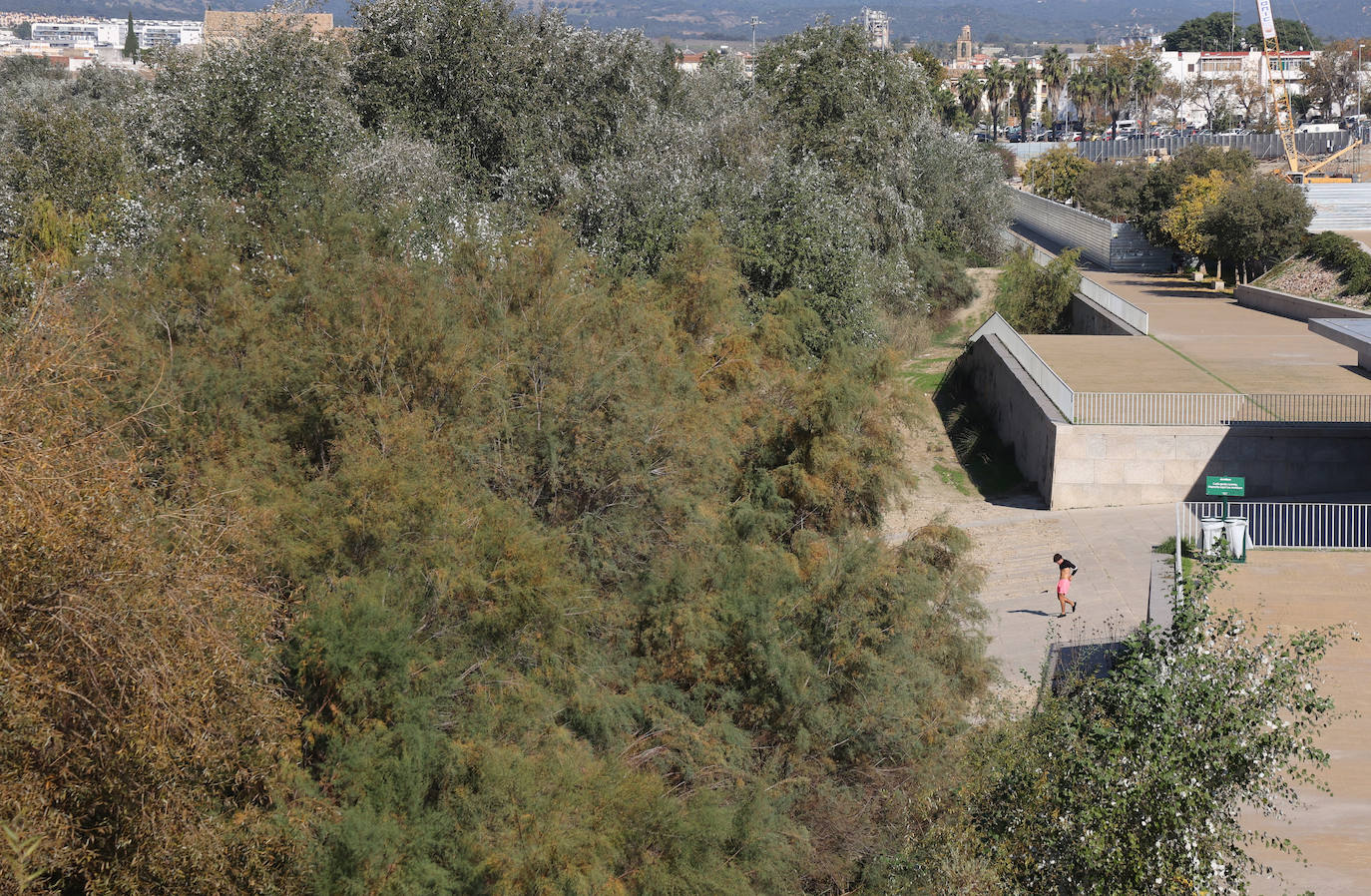 El descuido y la suciedad del Guadalquivir en Córdoba, en imágenes